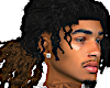 PONYTAIL LOCS BROWN