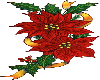 Poinsetta wreath