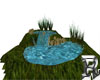 Pond Animated