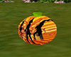 pumpkins halloween ani