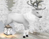 White Reindeer Animated