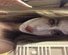 itgirl