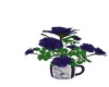 {LS} Roses in a Cup
