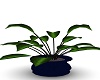 blue vase plant 