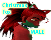 Christmas Fox (M) BUNDLE