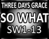 Three Days Grace SO WHAT