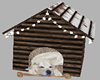 Winter Dog House