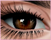 Boudoir - Dark Brown