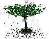 EC green tree