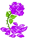 PurpleFlower
