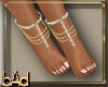 Dainty Feet Anklets