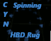 Spinning H Birthday Rug