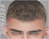 Dionysus Hair