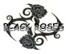 (CS) black rose