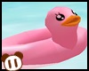 *Y* Floating Duck 02