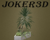 Corner potted plants