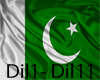 [HK] Dil Dil Pakistan