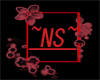 ~NS~ Red Border