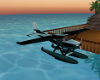 Island Sea Plane