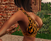 Cheetah Halter