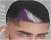 PURPLE & COLORS Hair