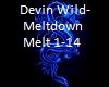 Devin Wild-Meltdown