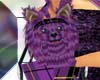 yorkie purse purple