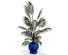 Comfort Potted Plant