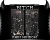 !B Seattle Rainy Window