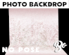 *BO BACKDROP #53