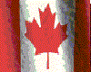 CANADA FLAG STICKER