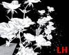 LH- Winter Flowers