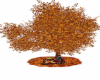 Autumn Fall Picnic Tree