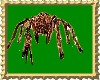 Proxmo Spider