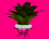 Pearl Potted Plant 2