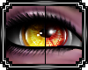 [F] 2T Yel-Ora Eyes