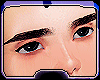 EyeBrow