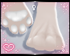 ˏˋ✧ Furry Paws 