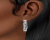 DIAMOND  EARRINGS