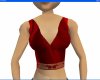 Red Silk Top