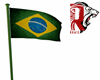 🦁 Bandeira Brasil