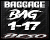 Baggage