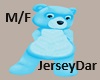 Bear Costume Teal