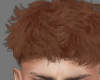 Edgar Ginger