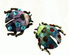 Two LadyBugs
