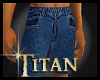 TT*Blue Denim Shorts