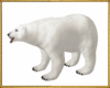 Snow Polar Bear