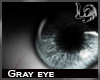[LD] Gray eyes