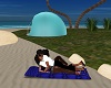 ESS-Beach Mat + Kiss