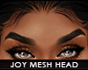! joy mesh head | t5